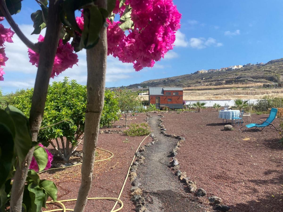 Mini Casa Finca Arcoiris Tenerife Guia de Isora  Exterior photo
